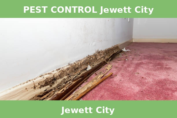 PEST CONTROL Jewett City